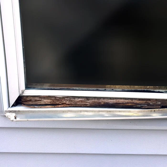 Assessing the Condition of Your Wood Windows