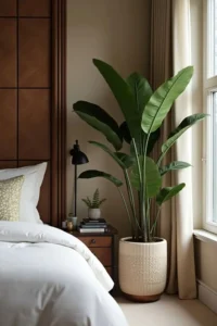 Bedroom décor ideas with indoor plants: Why Green Matters