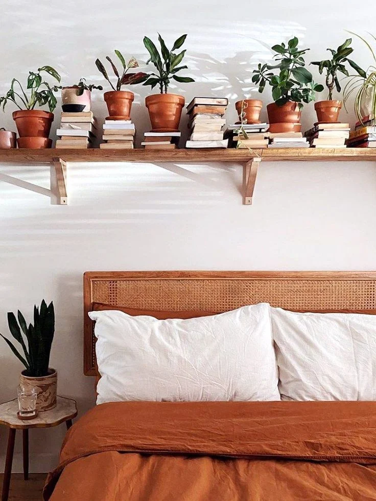 Bedroom Shelf Décor with Plants: The Fundamental Principles