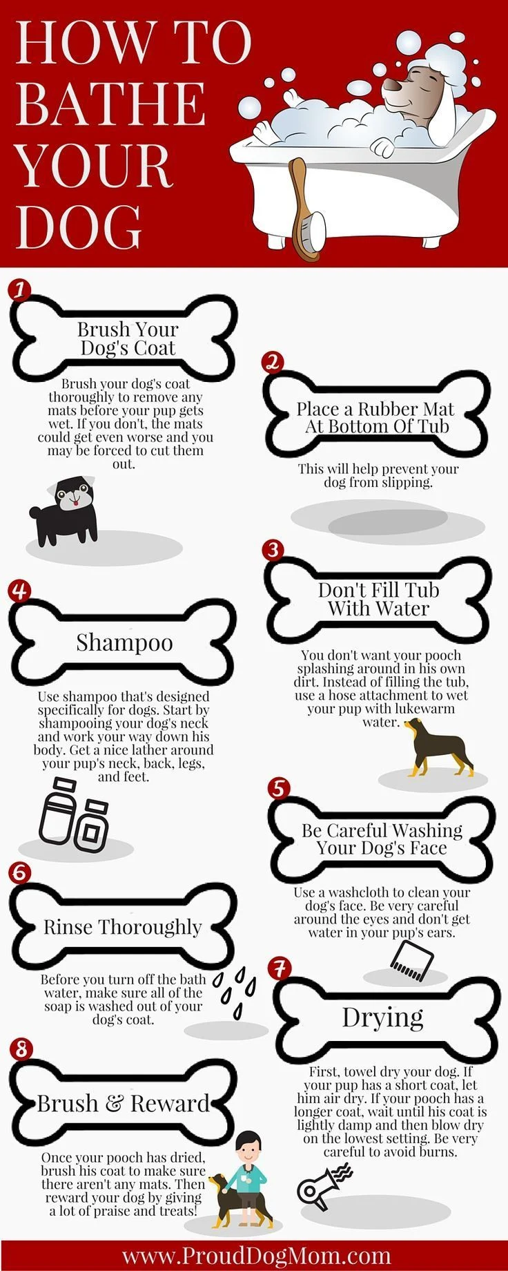 Can I Bathe My Dog After Mating? Understanding the Basics