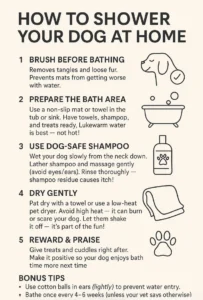 Can I Bathe My Dog at Night Without Disrupting My Home’s Atmosphere?