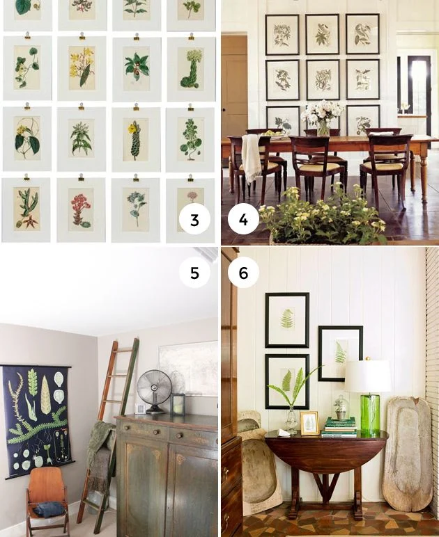 Choosing the Right Botanical Prints for Your Space