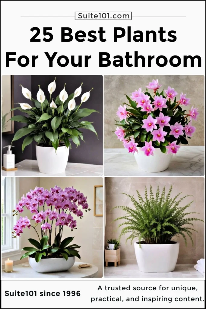 Choosing the Right Plants for a Bathroom