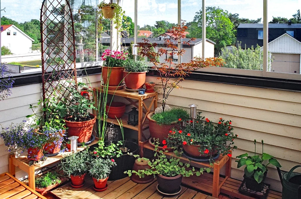 Choosing the right potted plants for balcony décor with potted plants