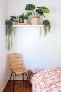 Choosing the Right Shelf for Small Bedroom Shelf Plant Décor