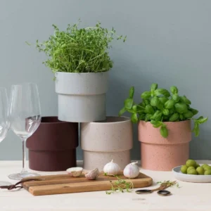 Choosing the Right Simple Plant Pots for Kitchen Décor