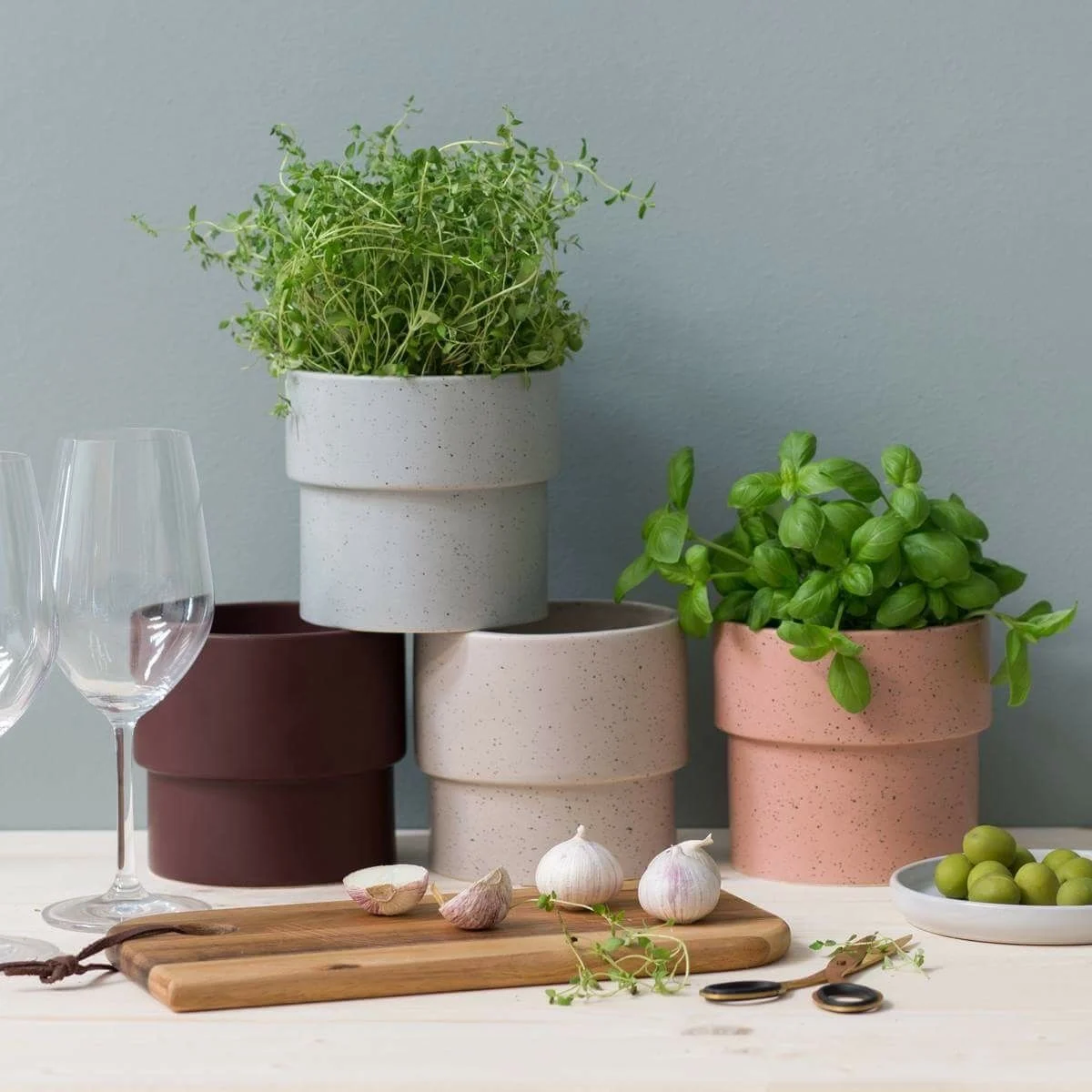 Choosing the Right Simple Plant Pots for Kitchen Décor