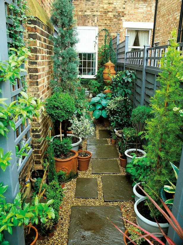 Choosing the right small plants for narrow corridors