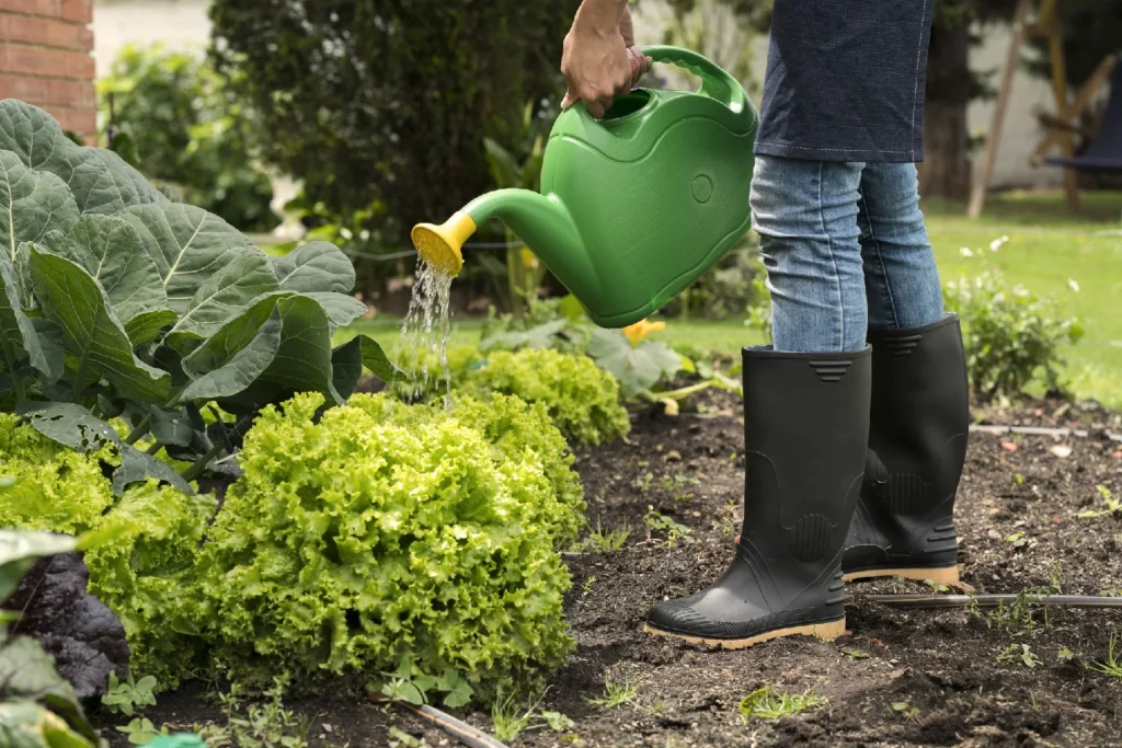 Climate, seasonality, and watering habits