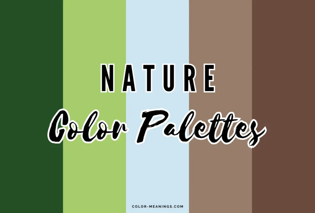 Color Palettes and Textures that Echo Nature