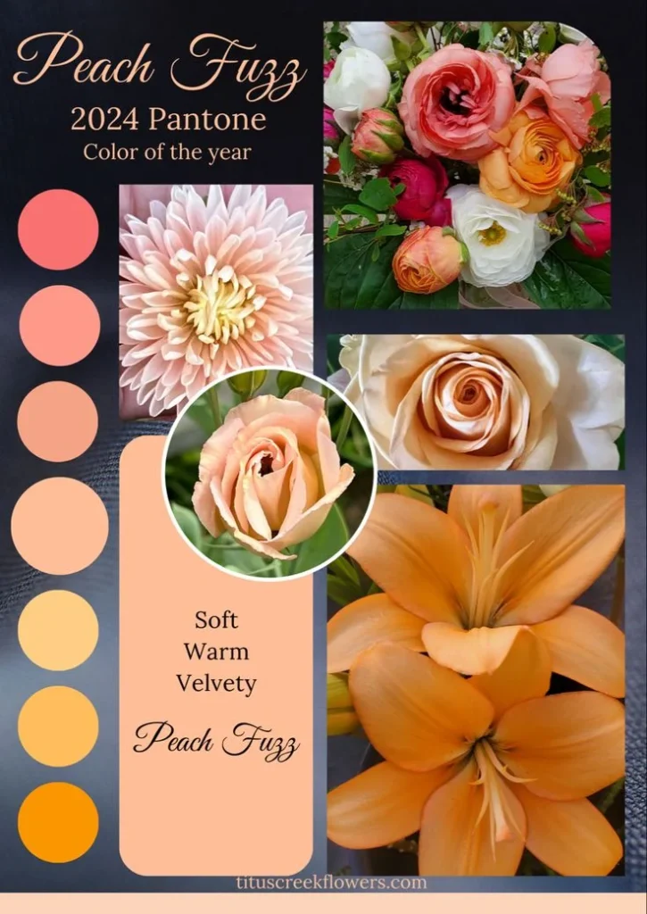 Color Palettes that Invite Warmth
