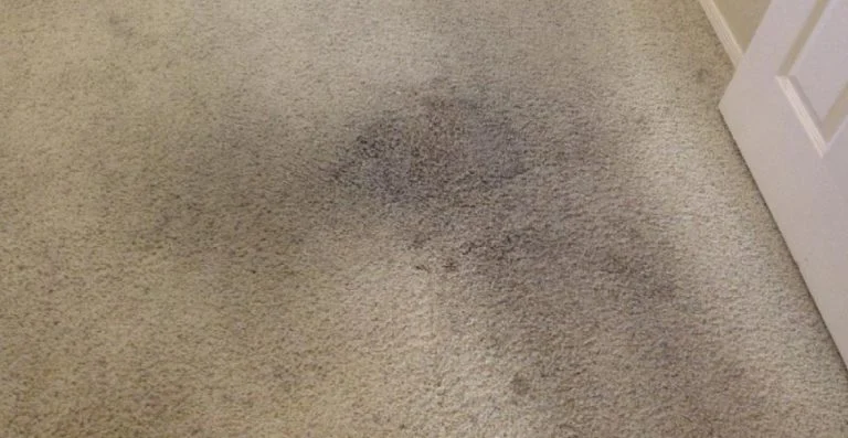 Common Mistakes When Removing Charcoal from Carpet