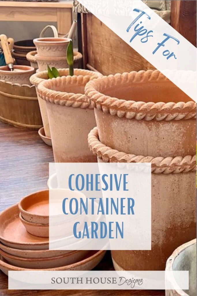 Container and Potting Ideas for a Cohesive Look
