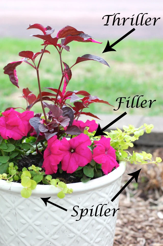 Creative Fillers and Arrangement Techniques