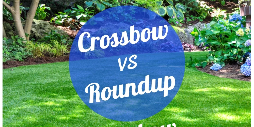 crossbow vs roundup: Which Is Better for Garden Management?