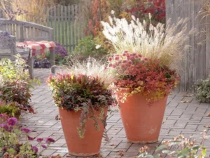 Design Philosophy: hameln vs little bunny