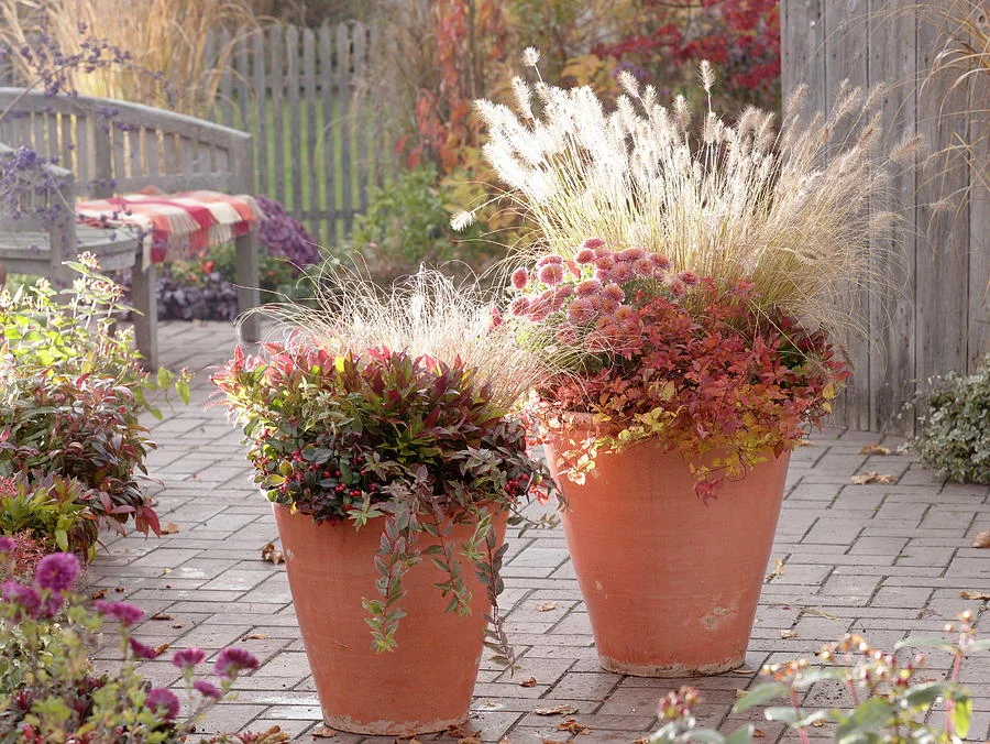 Design Philosophy: hameln vs little bunny