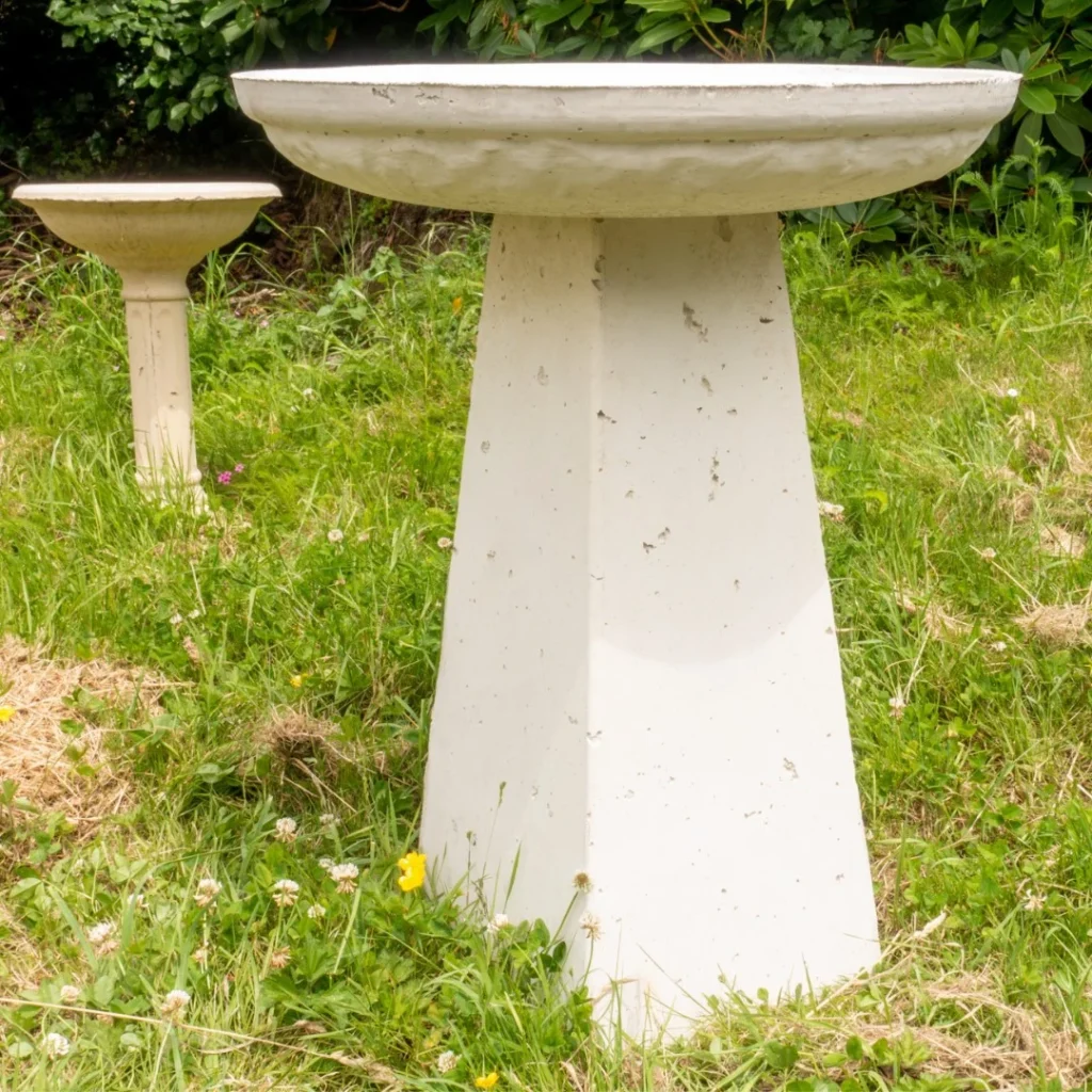 Designing with Concrete Bird Baths: Aesthetic Benefits and Placement