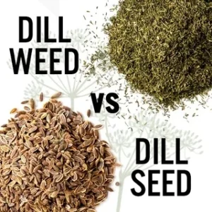 dill seed vs dill weed for pickles unraveling the flavors: Understanding the Basics
