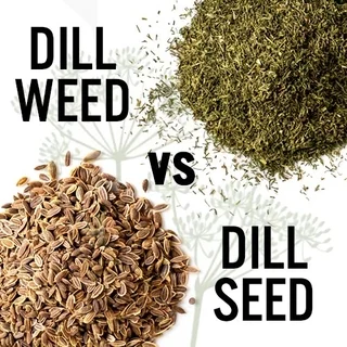 dill seed vs dill weed for pickles unraveling the flavors: Understanding the Basics