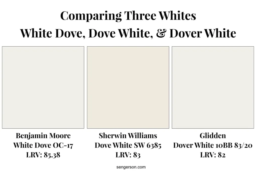 dove white vs white dove – Understanding the Two Shades