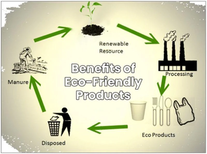 Eco‑Friendly Materials and Their Benefits