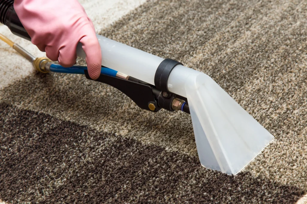 Effective Drying Techniques for a Damp Carpet