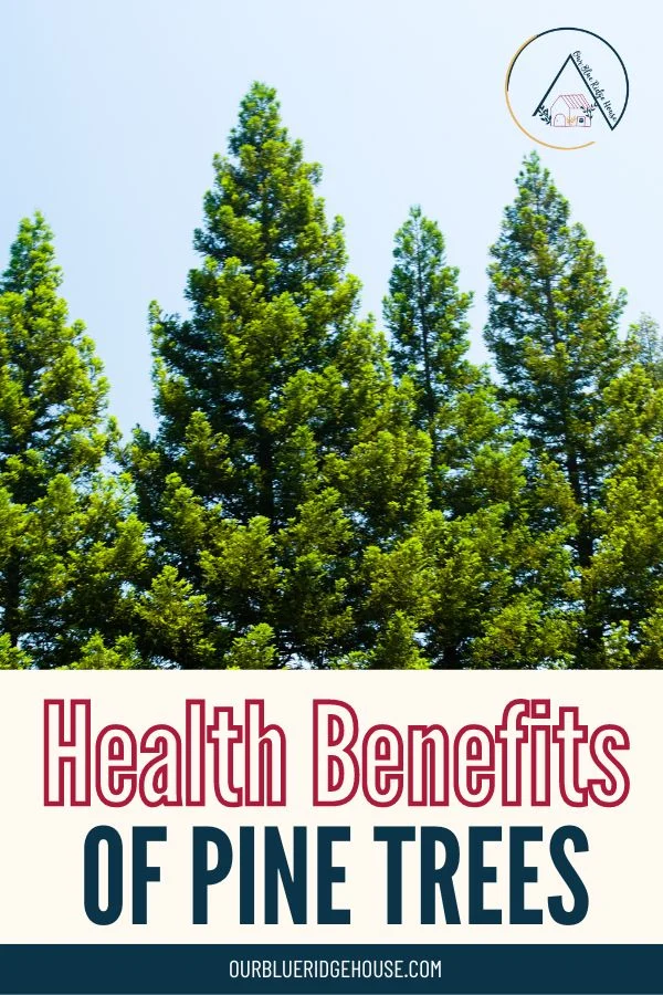 Environmental and Health Considerations