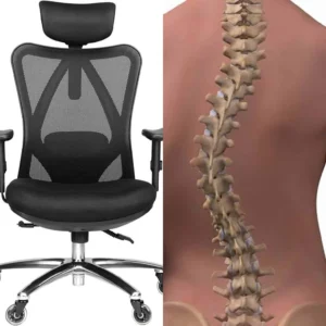 finding the perfect comfort the best office chair for scoliosis: What Makes a Chair Truly Ergonomic?