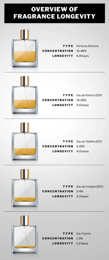 Fragrance Longevity and Performance: Which Holds Up Better?