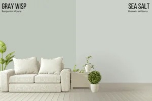 Gray Wisp vs Sea Salt Choosing the Perfect Hue for Your Home – An Overview