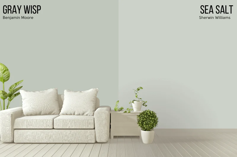 Gray Wisp vs Sea Salt Choosing the Perfect Hue for Your Home – An Overview