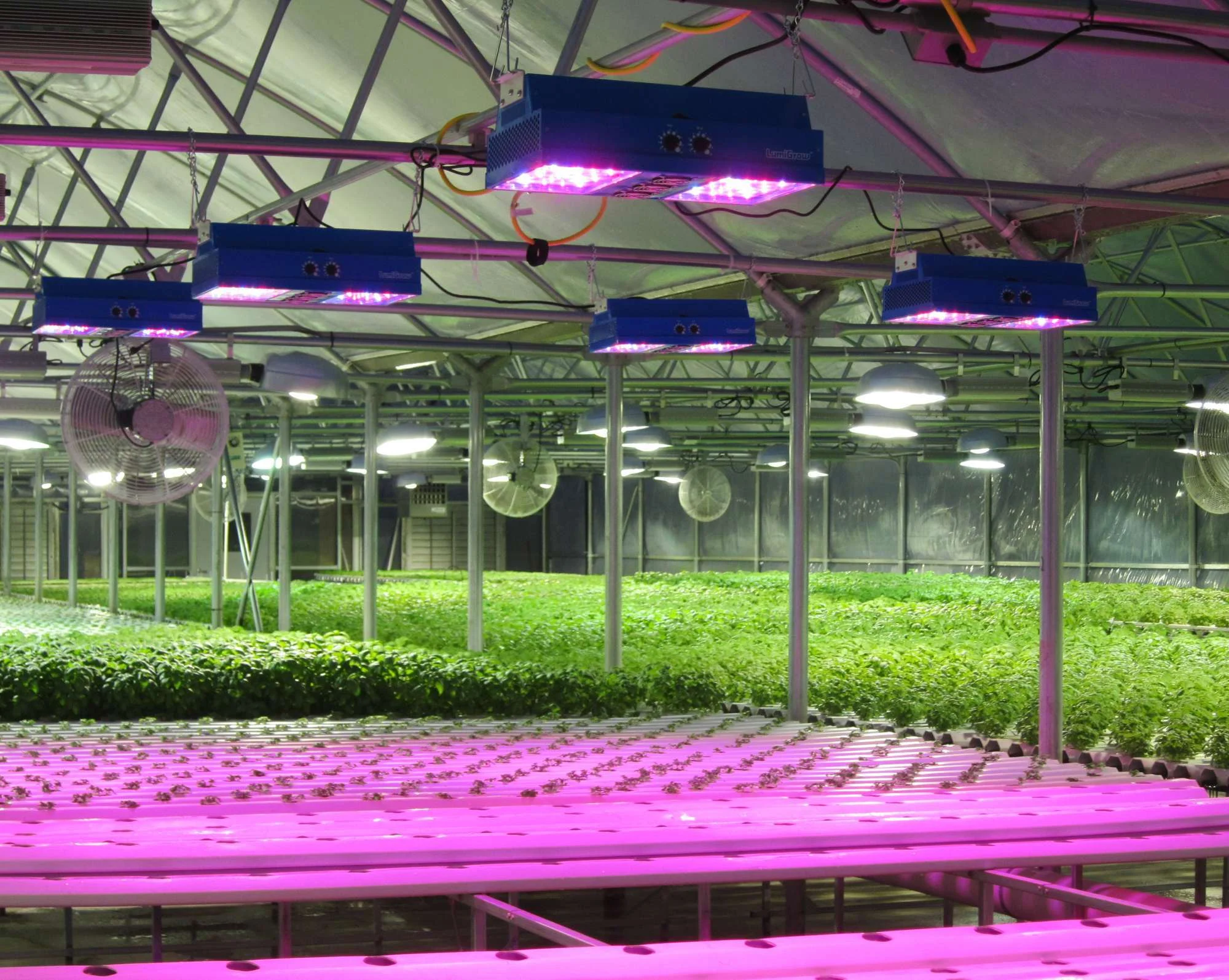 greenhouse vs grow lights: Understanding the Basics