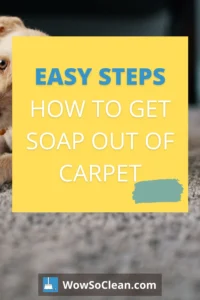 How do you get soap out of carpet?
