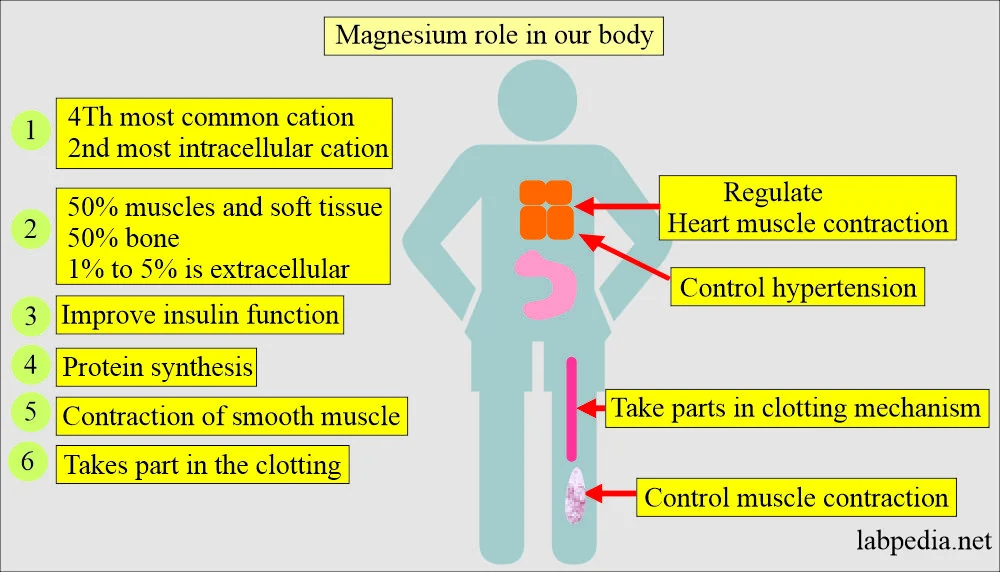 How Magnesium Works When You’re Running a Temperature