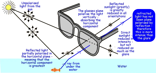 How the Shades Interact with Light