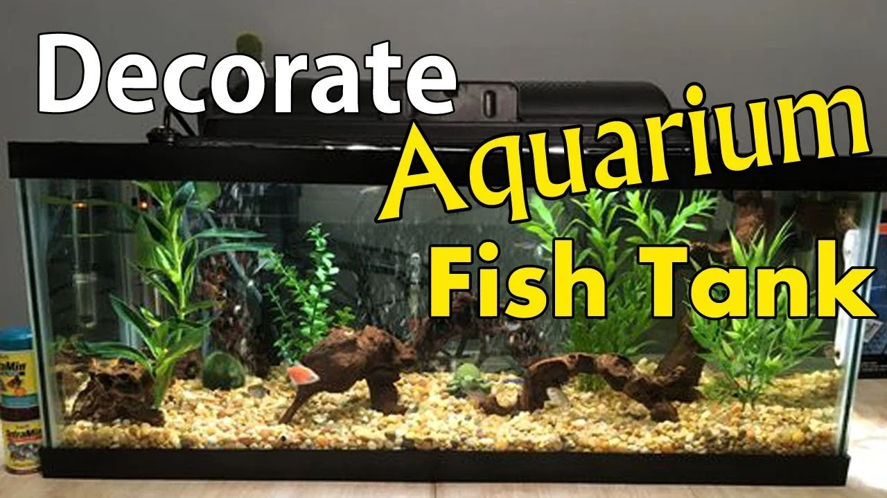 how to decorate fish tank at home: foundational steps