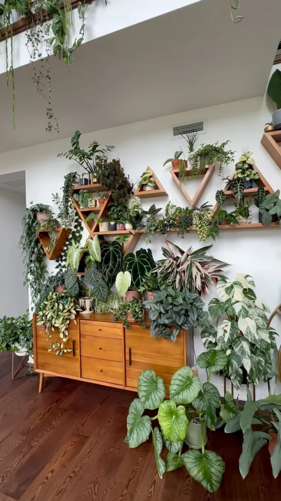 Integrating Plants into Different Rooms