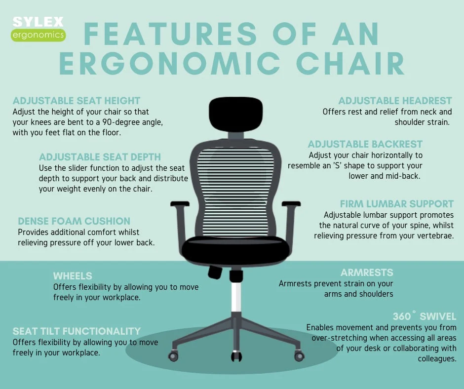 Key Features to Look for in a Desk Chair