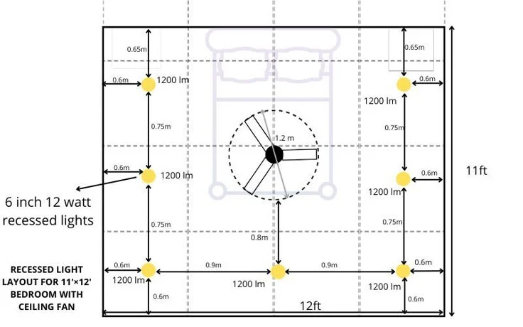 Light Requirements and Placement