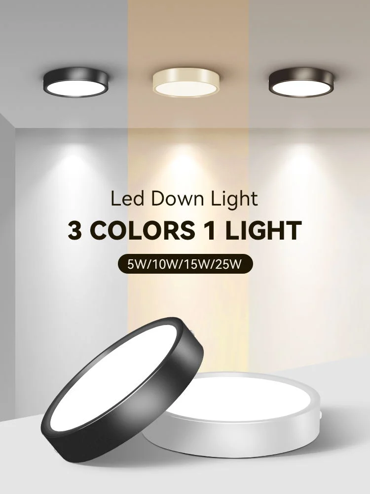 Lighting That Welcomes and Highlights