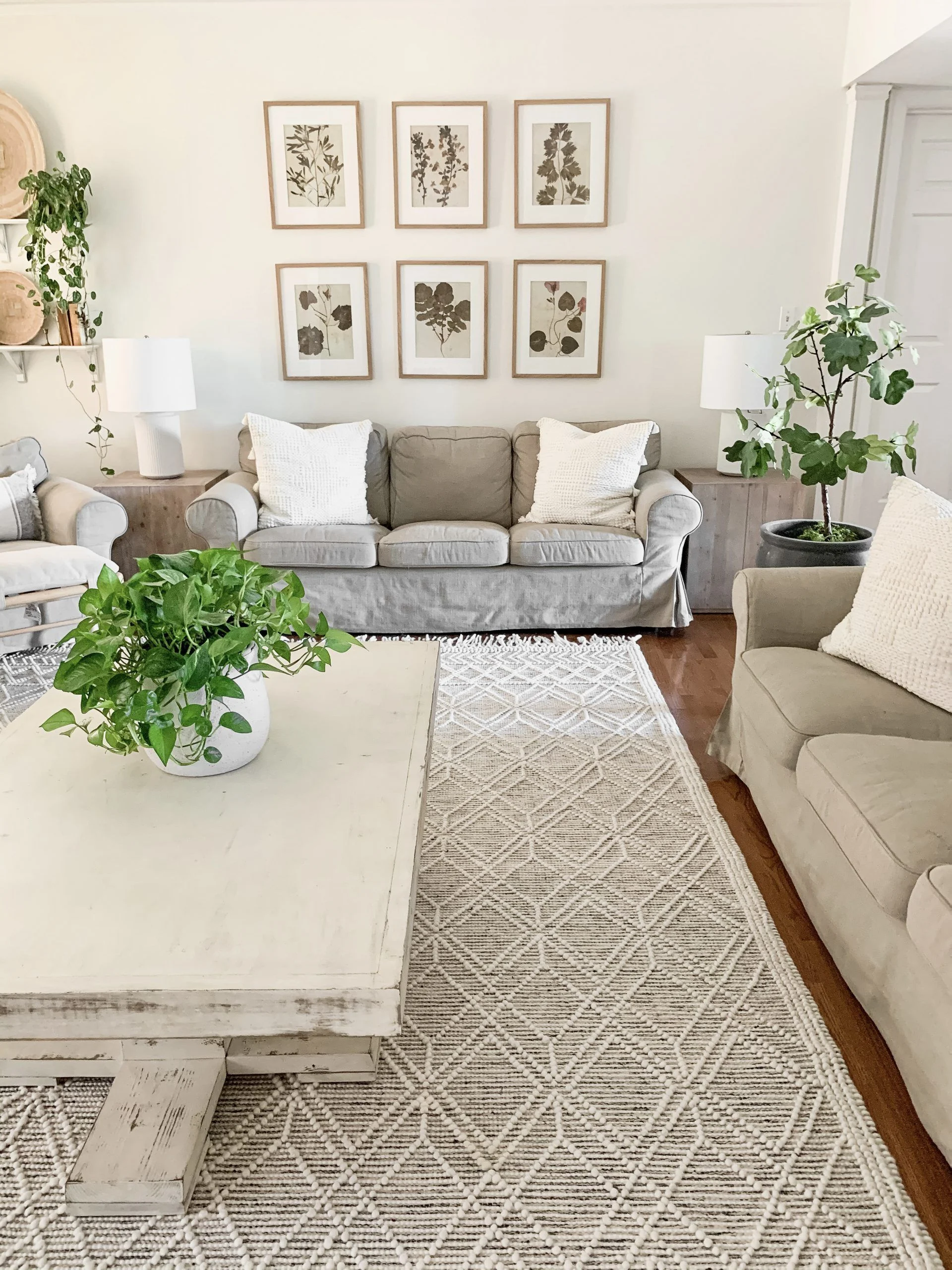 living room décor with light neutral rugs – why it works