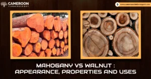 Mahogany vs Walnut: Core Characteristics and Visual Appeal