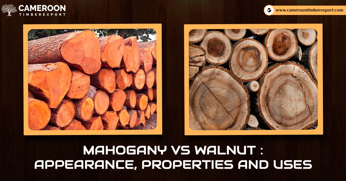 Mahogany vs Walnut: Core Characteristics and Visual Appeal
