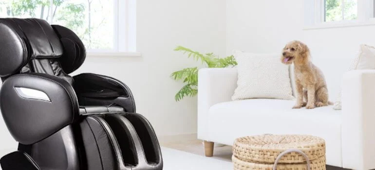 Matching the BM EC55 with Your Interior Design Style