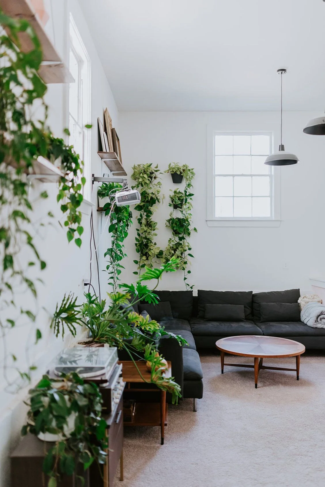 Minimalist Plant Décor Ideas for Every Room