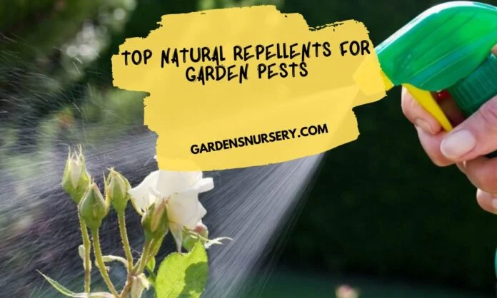 Natural Repellents That Fit Into Your Landscape Design