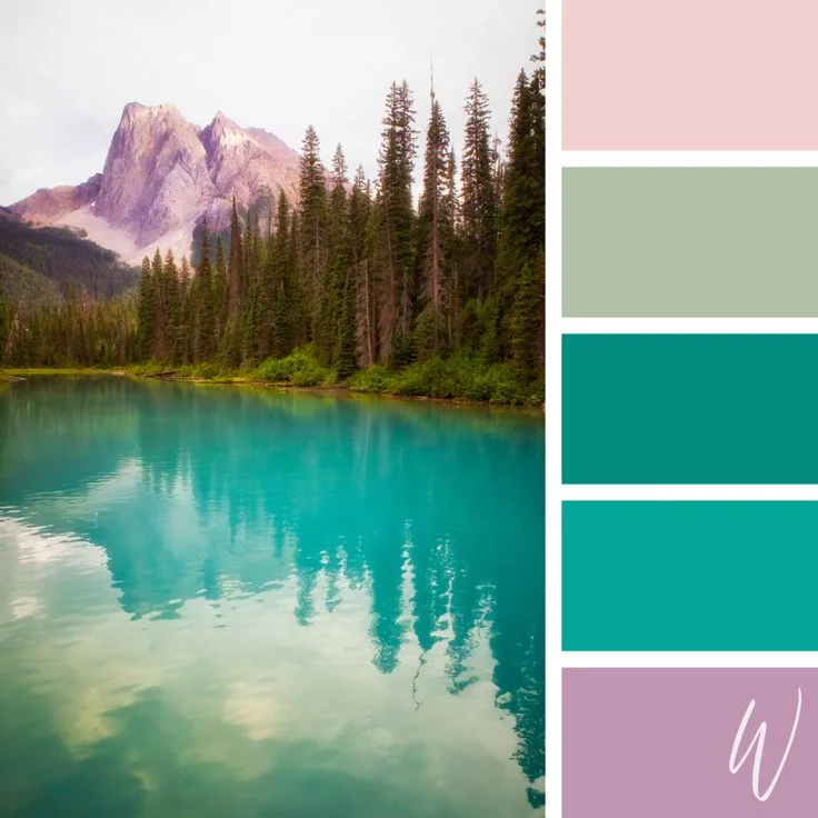 Nature‑Inspired Colour Palettes