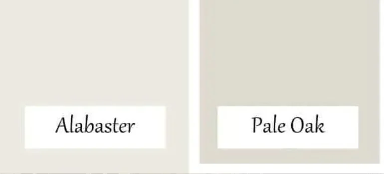 pale oak vs alabaster choosing the perfect paint colors for your home: Understanding the Basics