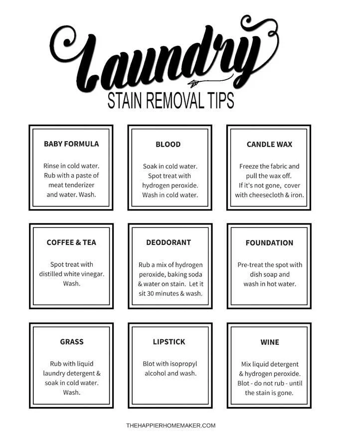 Performance in Laundry: Stain Removal and Freshness